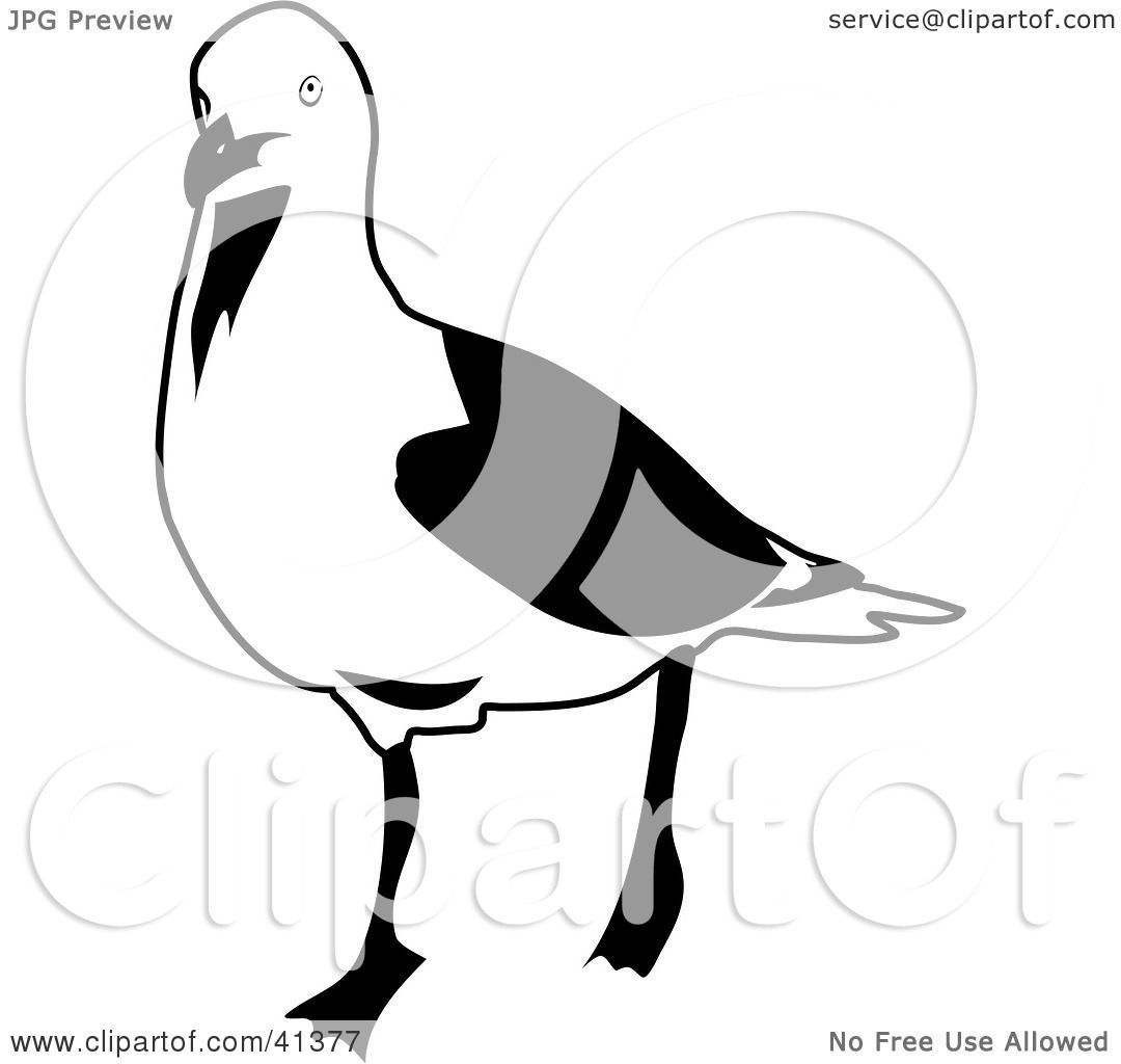 Similiar Seagull Clip Art Black And White Keywords.