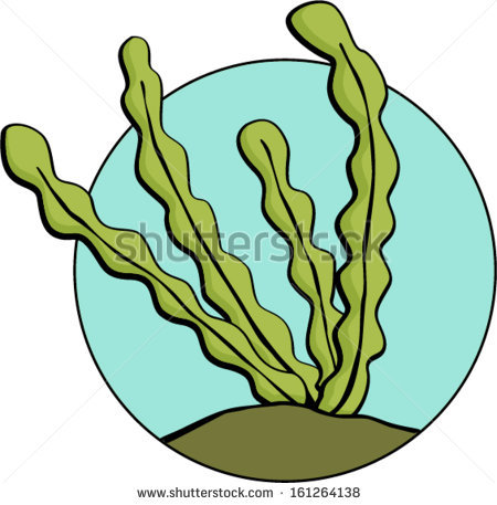 Seaweed Clipart. Seaweed, Seaweed Free Clipart.