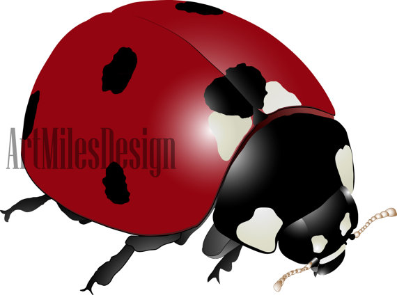 Premium Realistic Ladybug Vector Drawing.