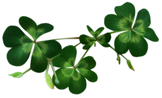 Irish Shamrocks PNG Clipart.