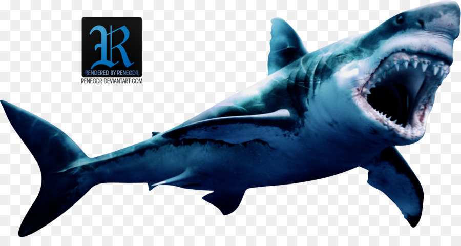 Great White Shark Background png download.