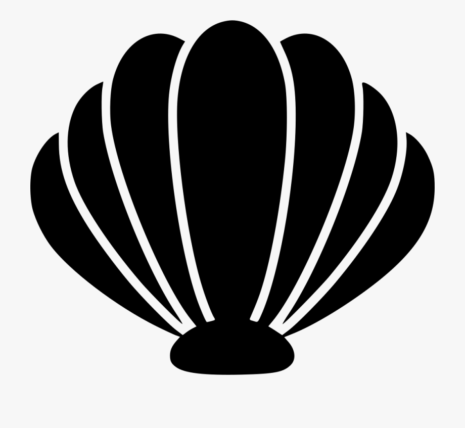 Sea Shell Png.