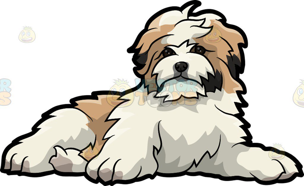 Shih tzu clipart free 6 » Clipart Portal.