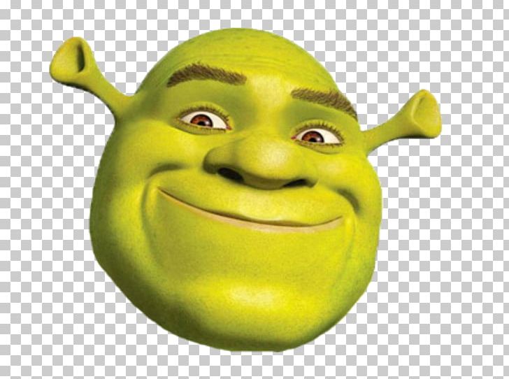 Andrew Adamson Shrek The Musical Donkey Princess Fiona PNG.