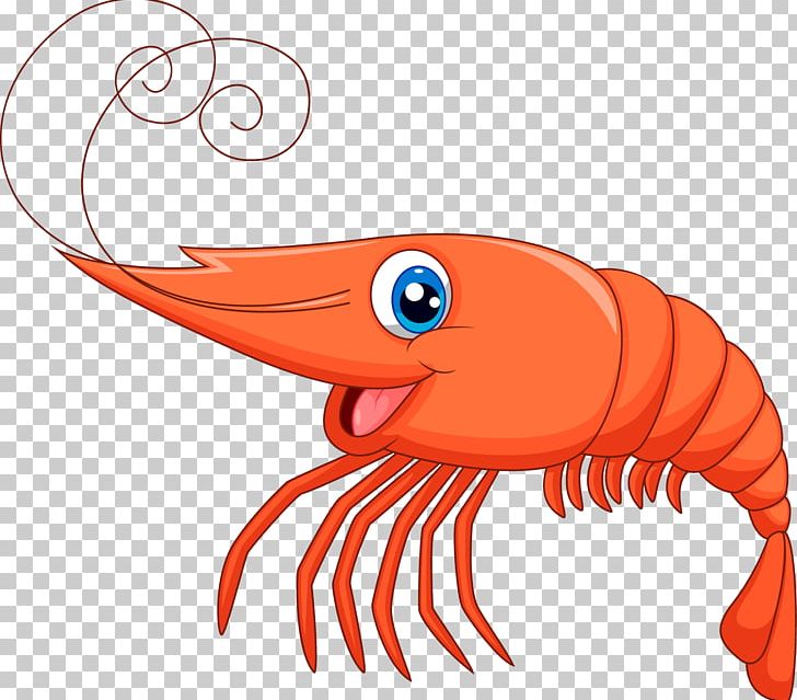 Shrimp PNG, Clipart, Animals, Art, Artwork, Beak, Cartoon.