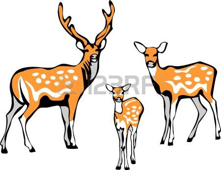 1,529 Fawn Stock Vector Illustration And Royalty Free Fawn Clipart.