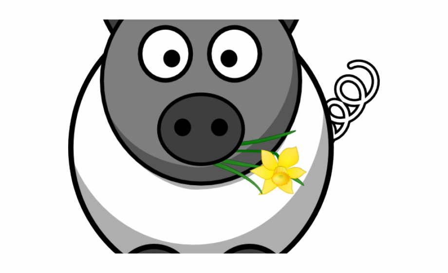 Sheep Clipart Pig.