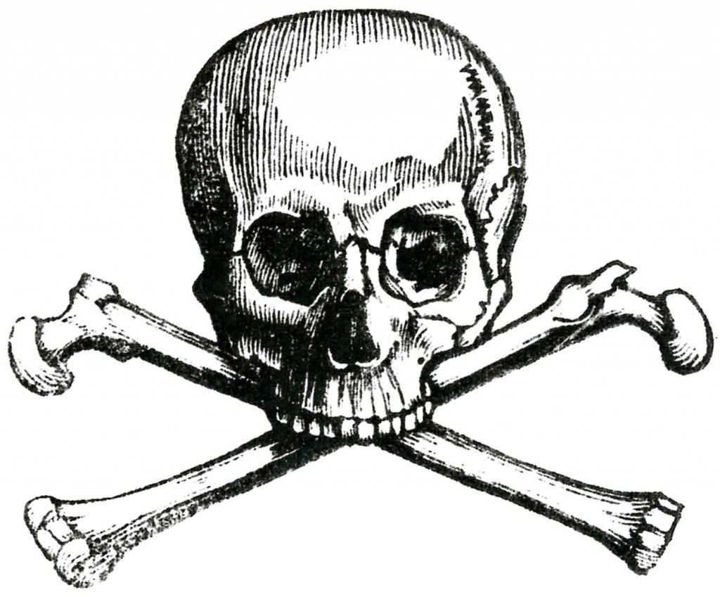 6 Skull Images.