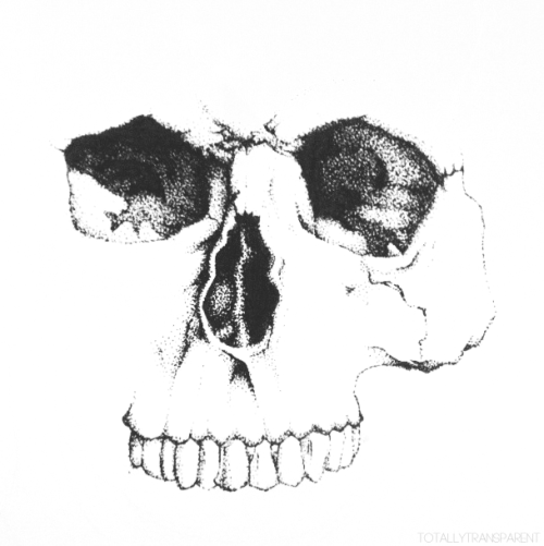 FreeToEdit white skull face blackandwhite clipart png.