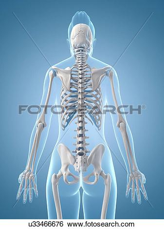 Stock Illustration of 