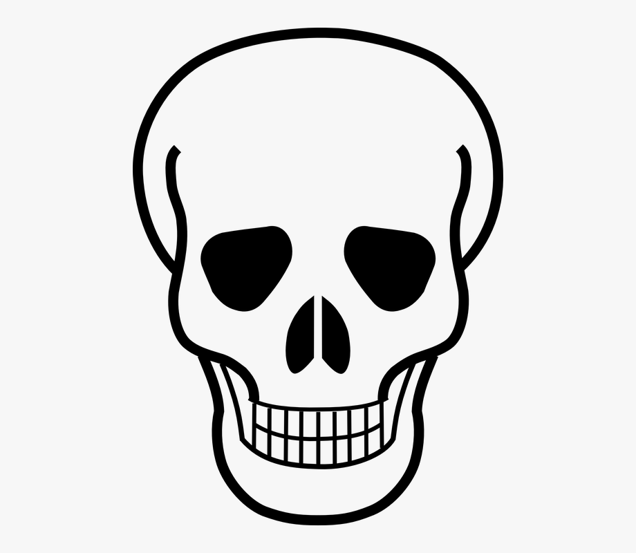 Skeleton Clipart Healthy Bone.