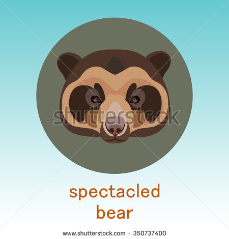 Kodiak brown bear. Face flat icon design. Animal icons series.