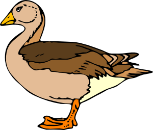 Duck Clip Art at Clker.com.