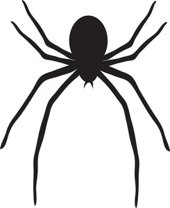 Spider clip art with transparent background free.