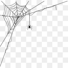 2019 的 Spider Web Decoration Pattern, Spider Clipart.