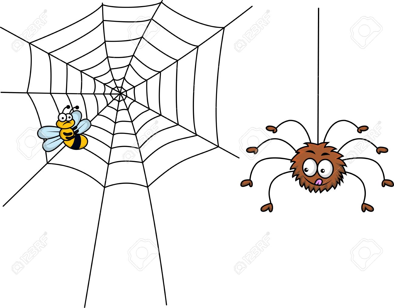 Spider And Prey Royalty Free Cliparts, Vectors, And Stock.