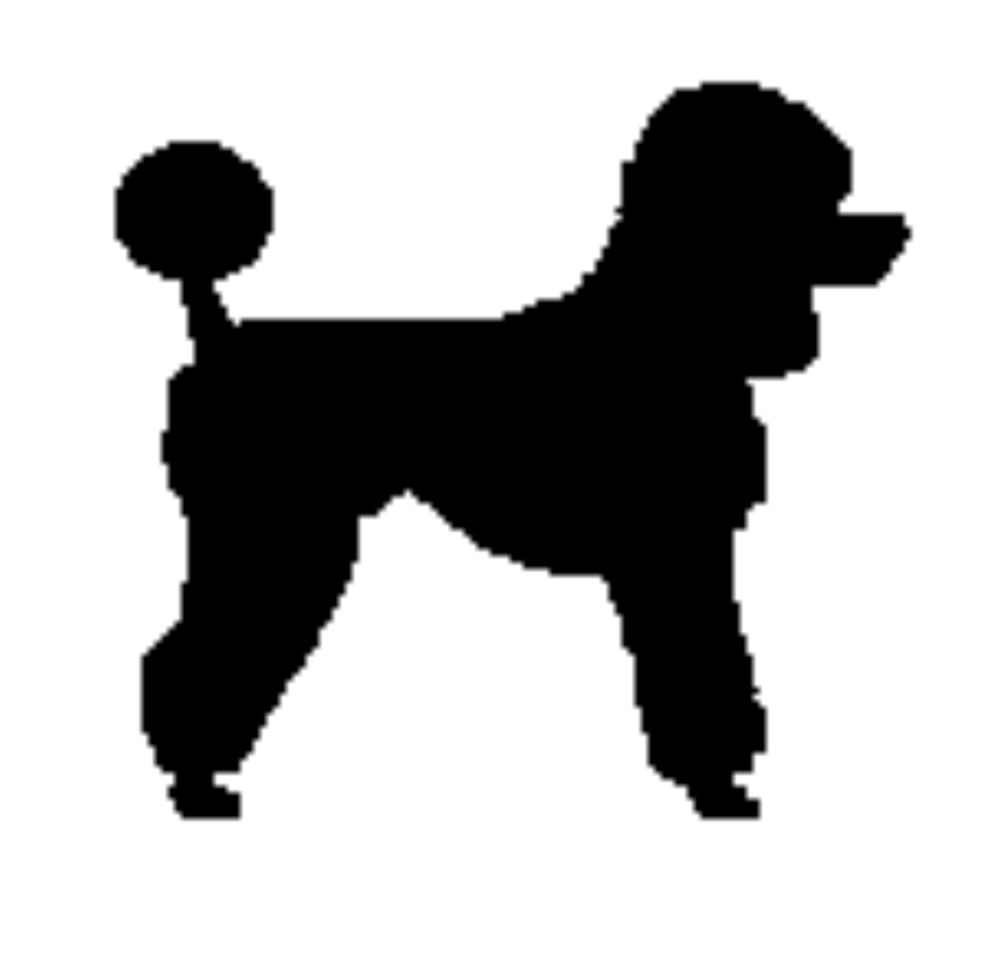 Standard Poodle Clipart#2146223.