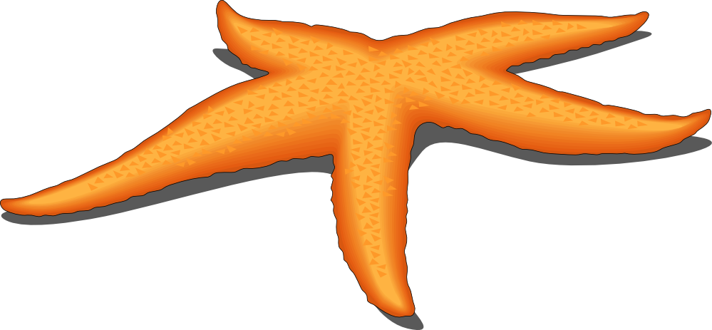 Free Starfish Cliparts.