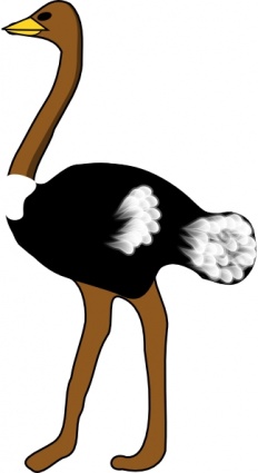 Strauß vogel clipart.