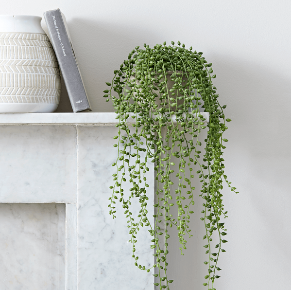 String Of Pearls Artificial Plant in Cement Pot.