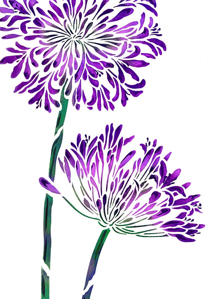 17 Best images about Agapanthus Flower Stencil on Pinterest.