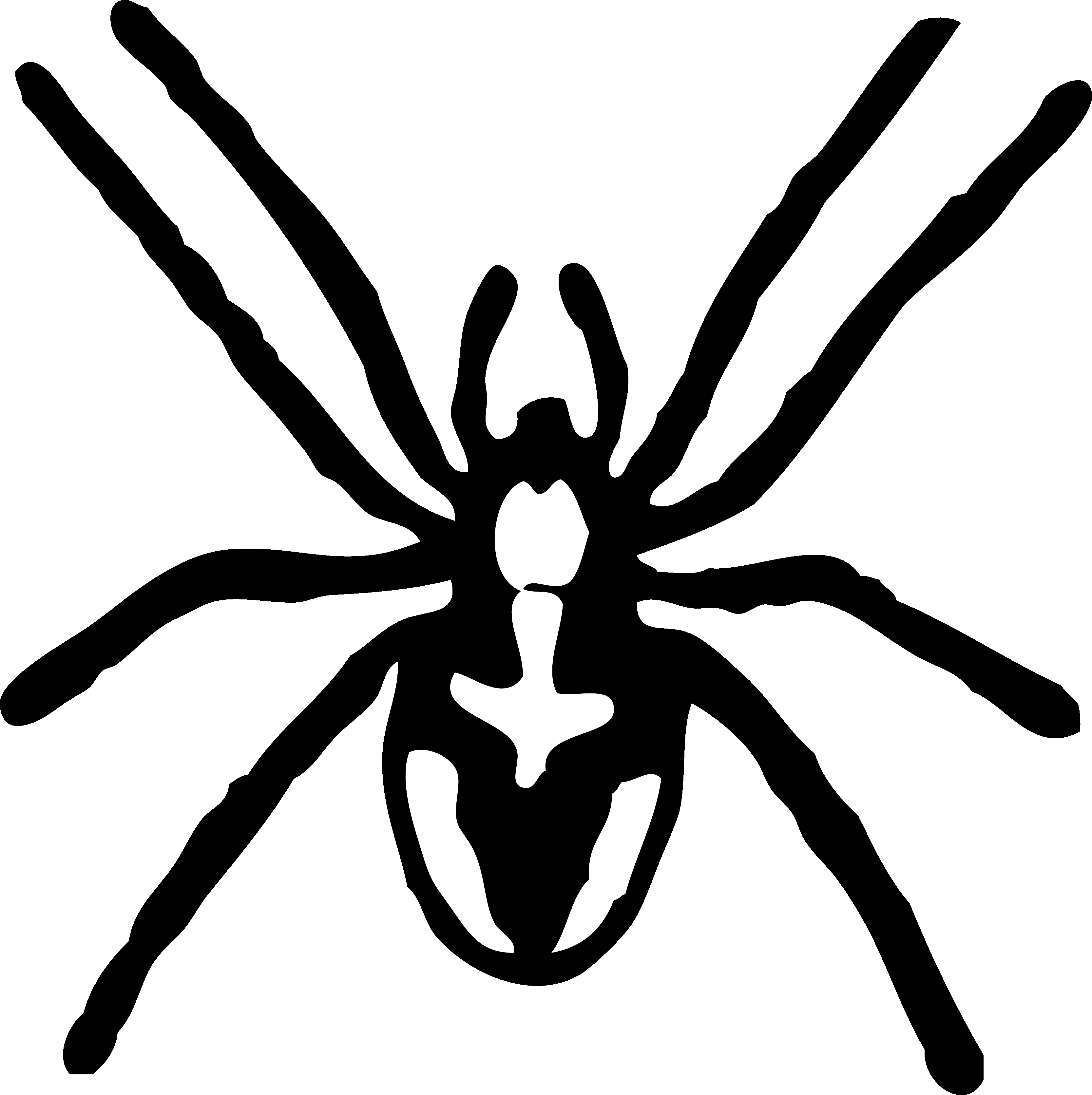 Tag: black and white striped spider with green eyes.