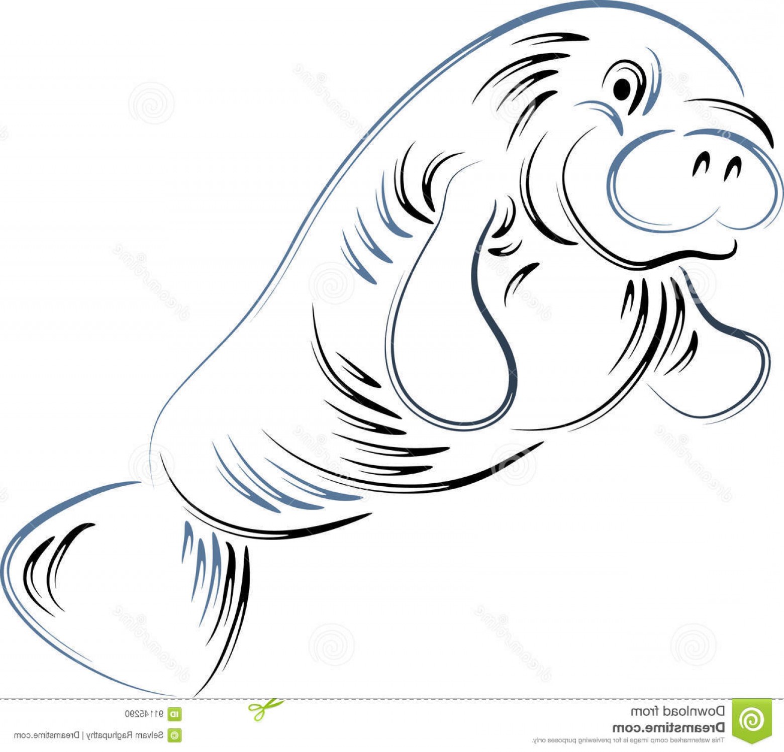 Seal Clip Art Vector.