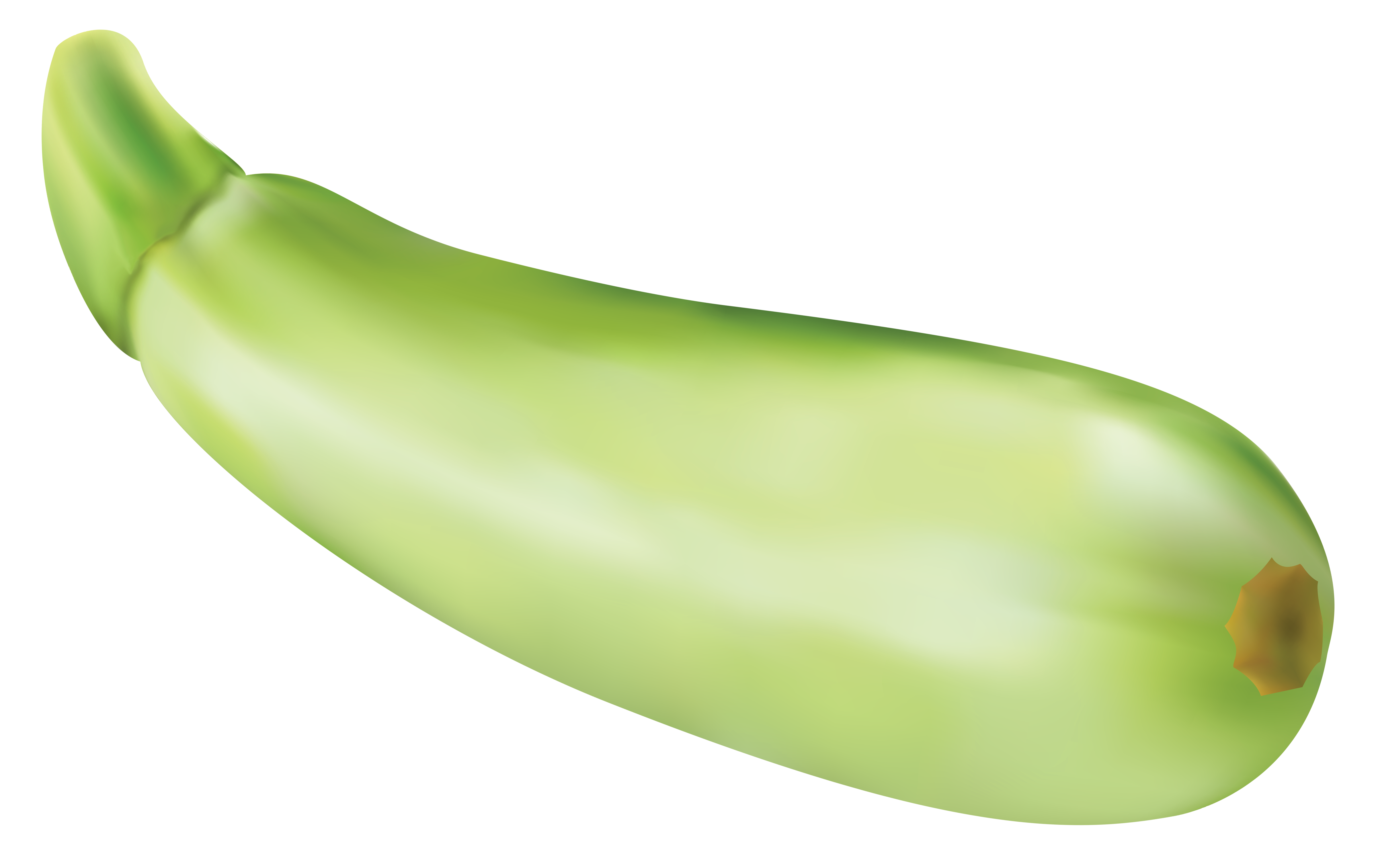 Zucchini clipart free.