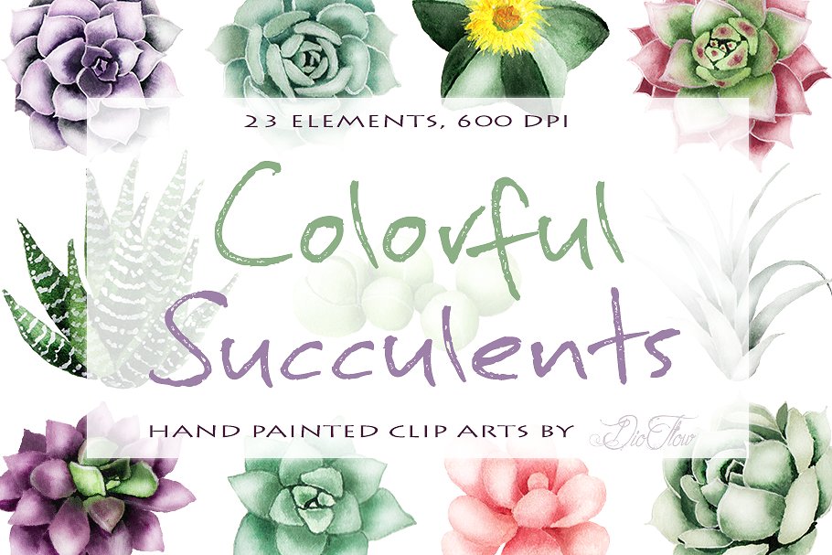 Succulent Watercolor Clipart.