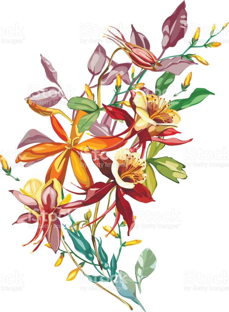 Flowering Plants Clipart With Names.