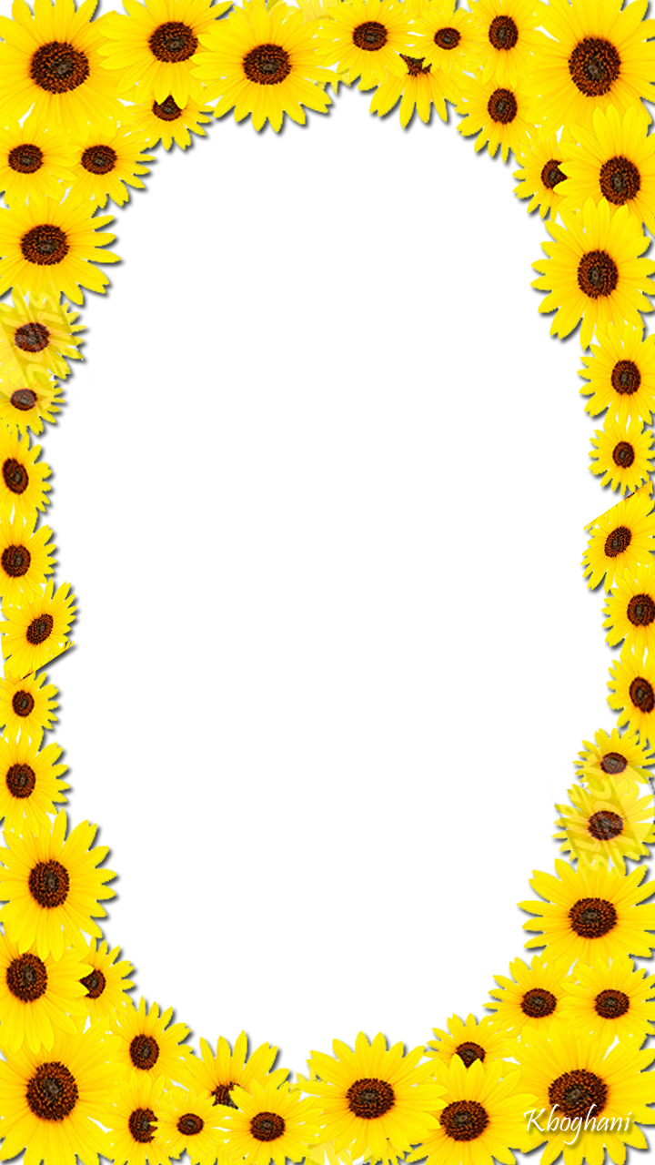 HD Sunflower Frame.