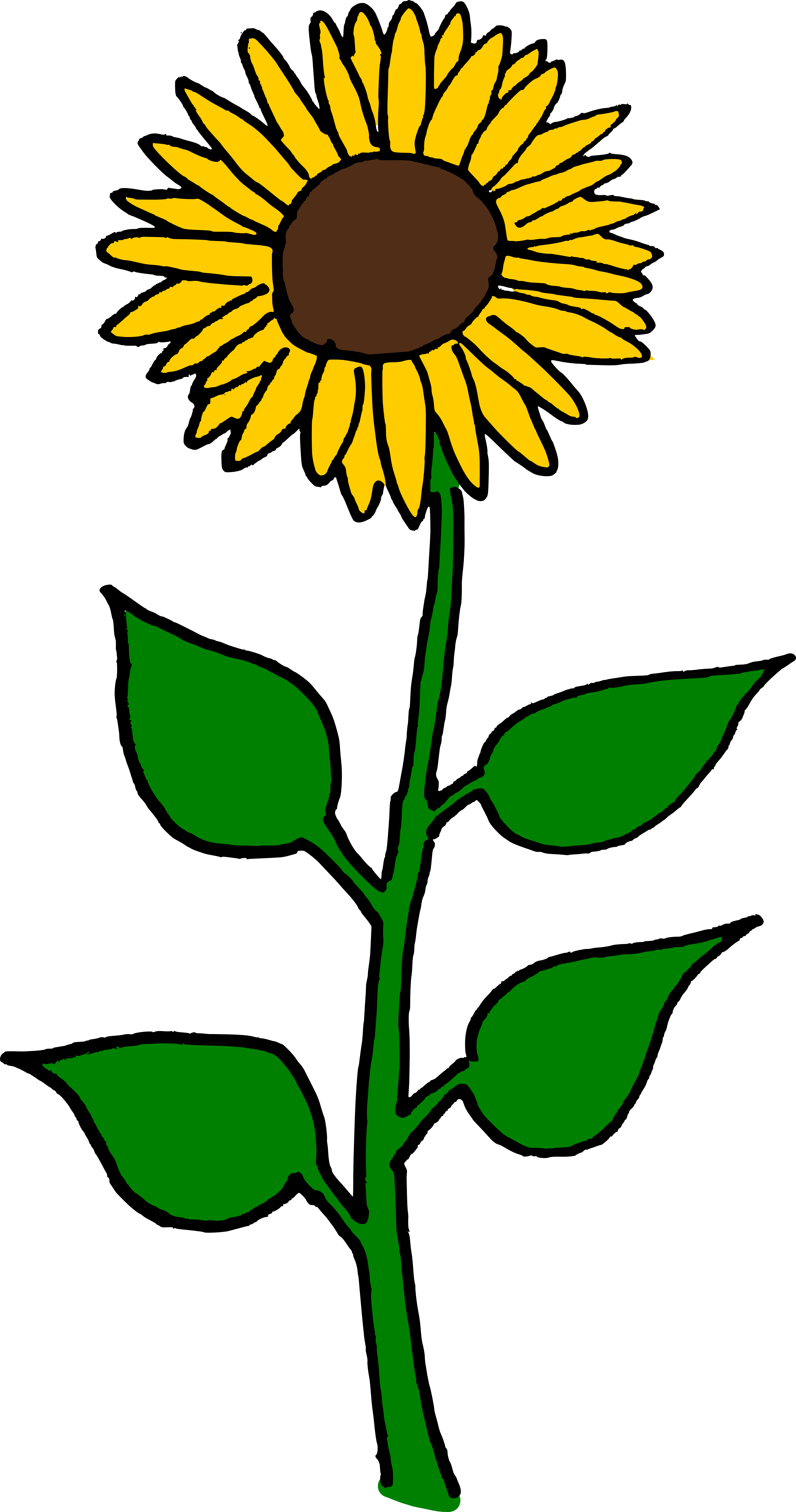 Tall Sunflower Clipart.