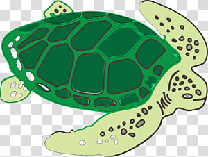 Tortoise Vector transparent background PNG cliparts free.