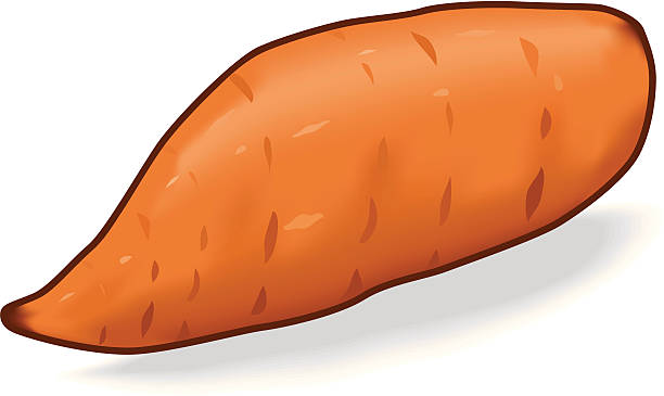 Sweet Potato Clipart.