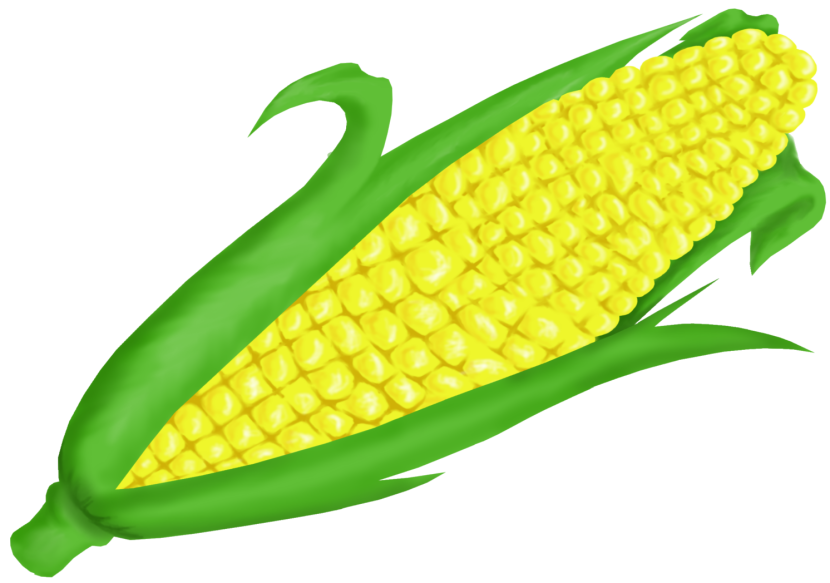 Sweet corn clipart.