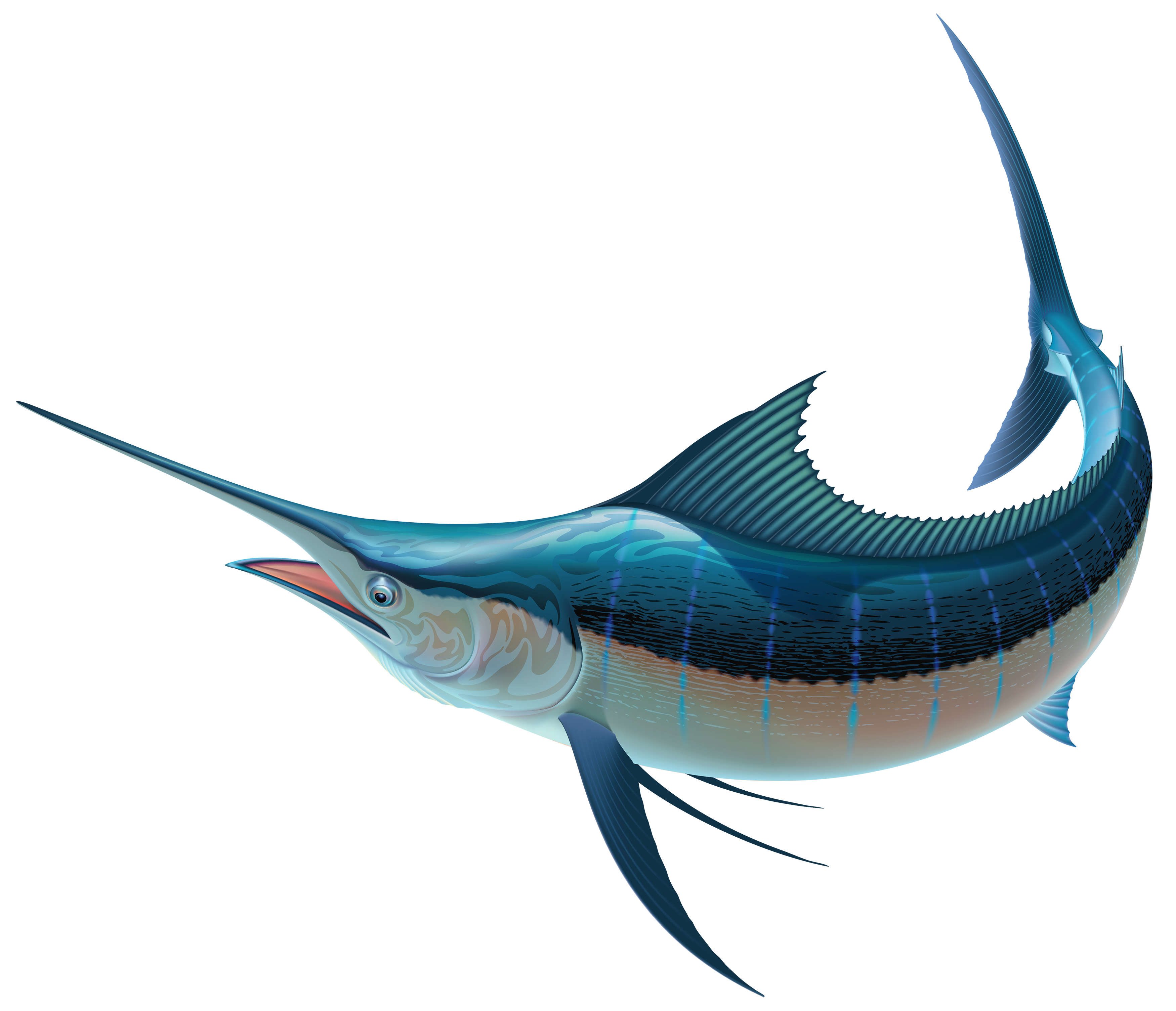 Swordfish PNG Clipart.