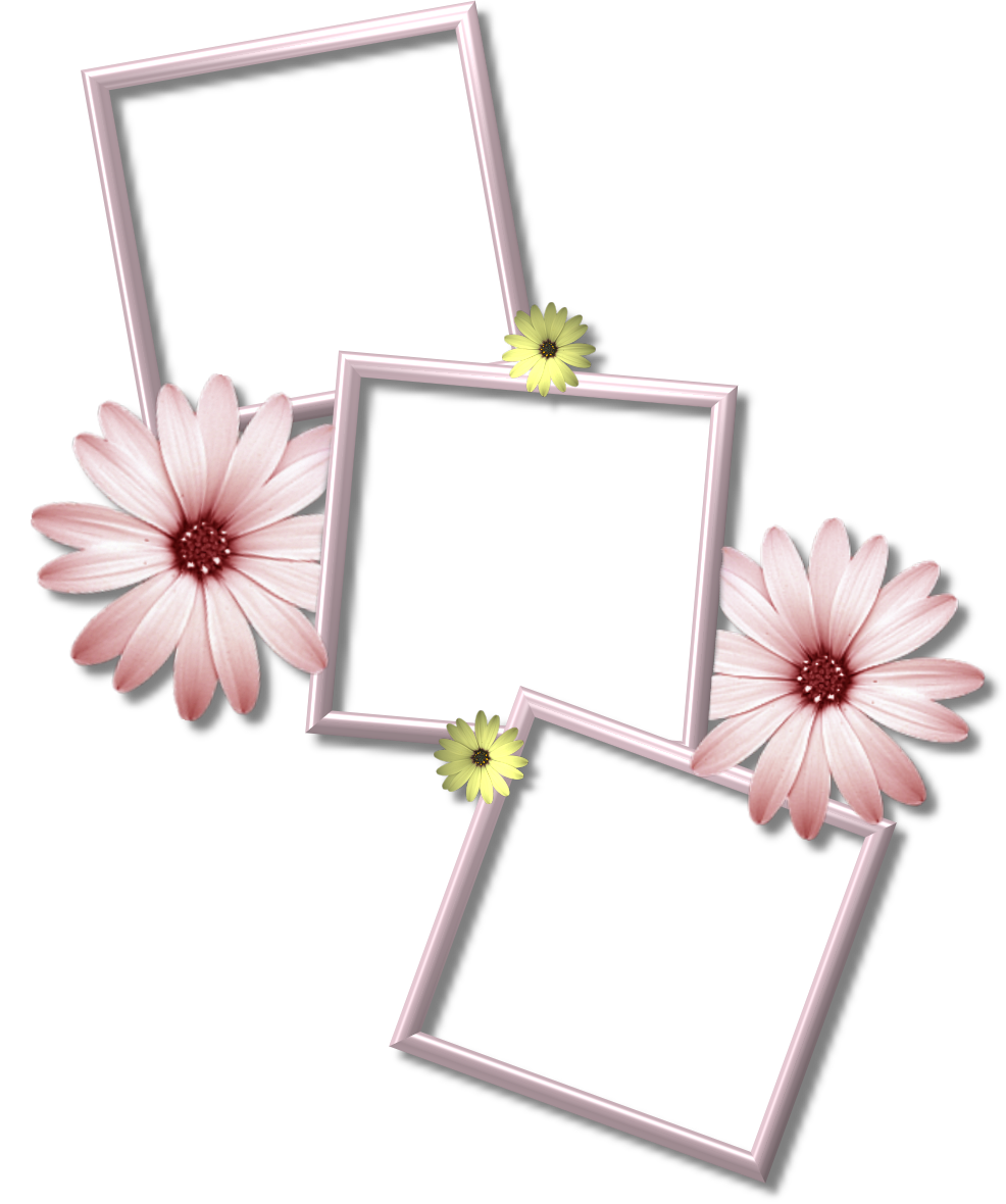 Collage Frame PNG Transparent Images.