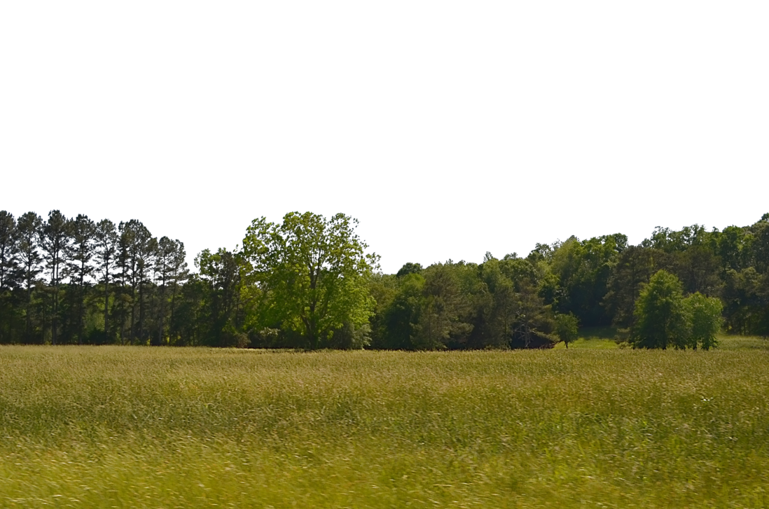 PNG Field Transparent Field.PNG Images..