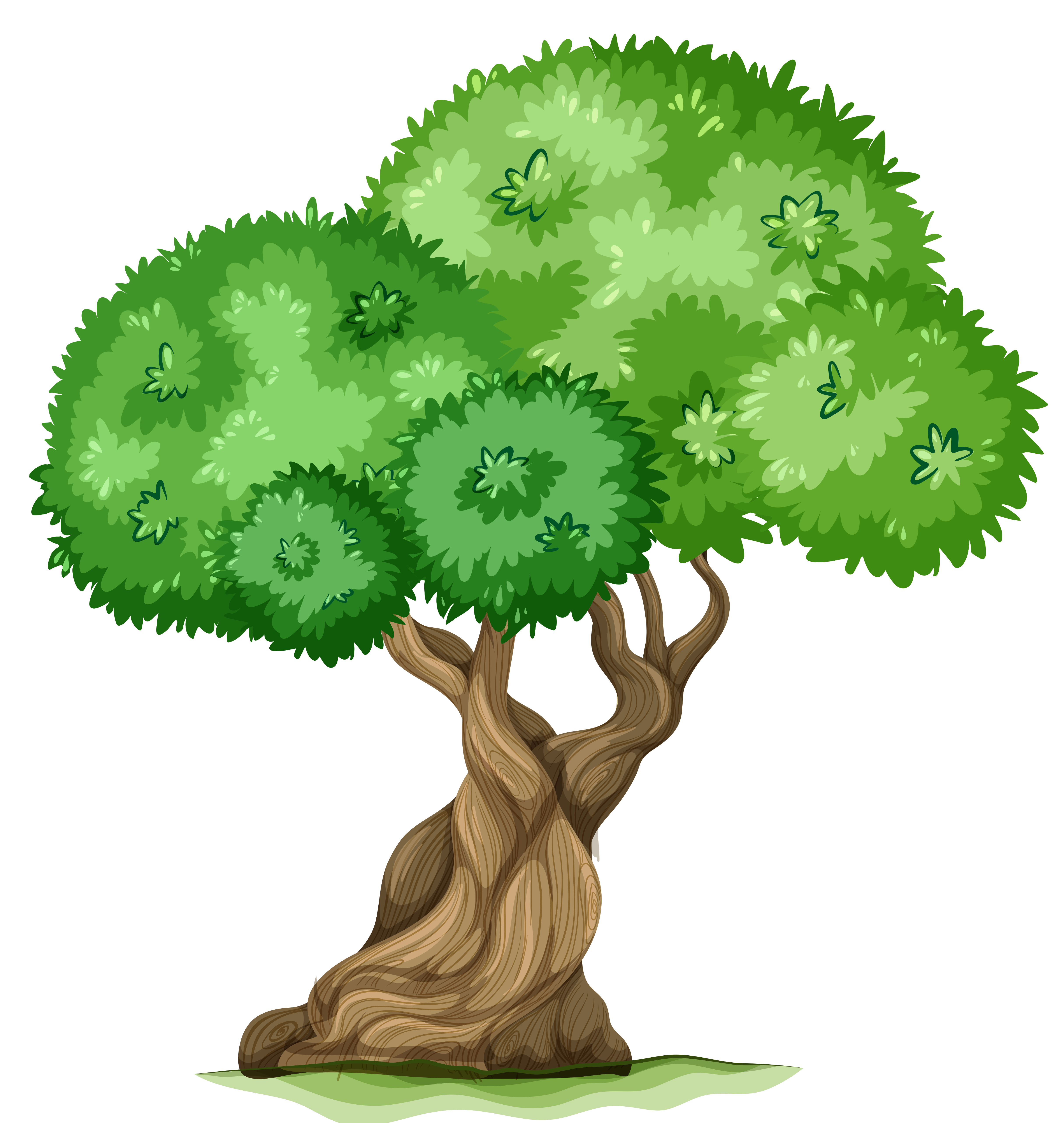 Png clipart treeClipartFest.