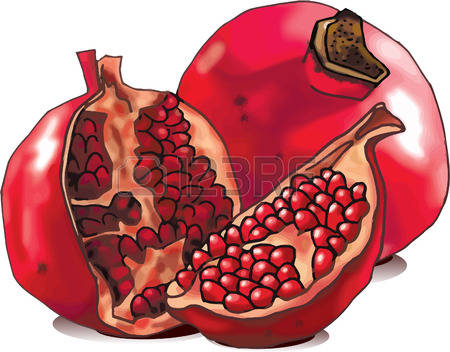 184 Whole Pomegranate Stock Illustrations, Cliparts And Royalty.