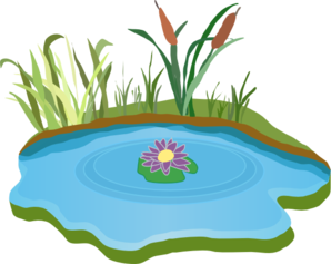 Pond Clipart No Background.