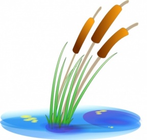 Pond Plants Clipart 91891.