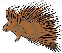 Free Porcupine Clipart.