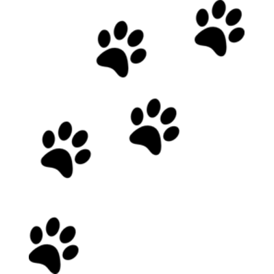 Paw Prints transparent PNG images.