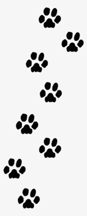 Dog Paw Print PNG, Transparent Dog Paw Print PNG Image Free.