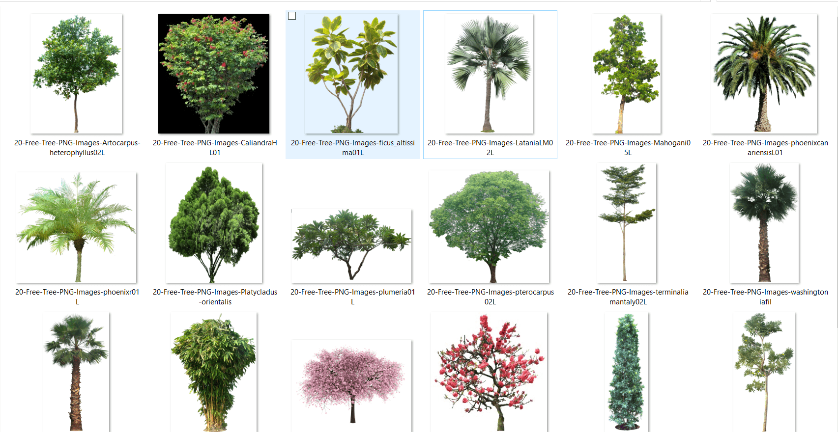 Arboles PNG para renderizado , paisaje e interiorismo y.