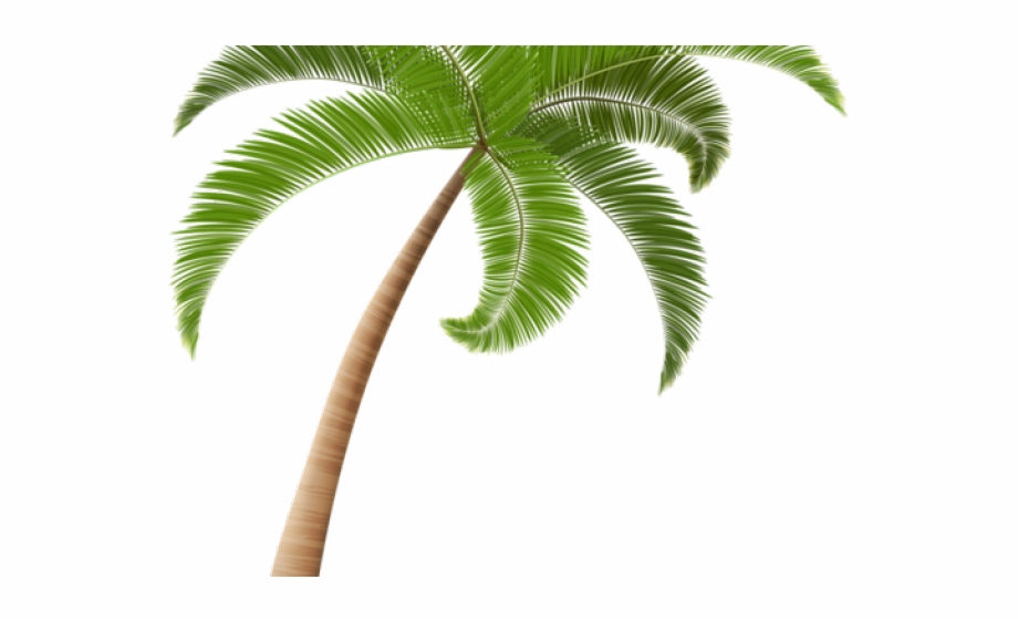 Palm Tree Clipart Kawaii.