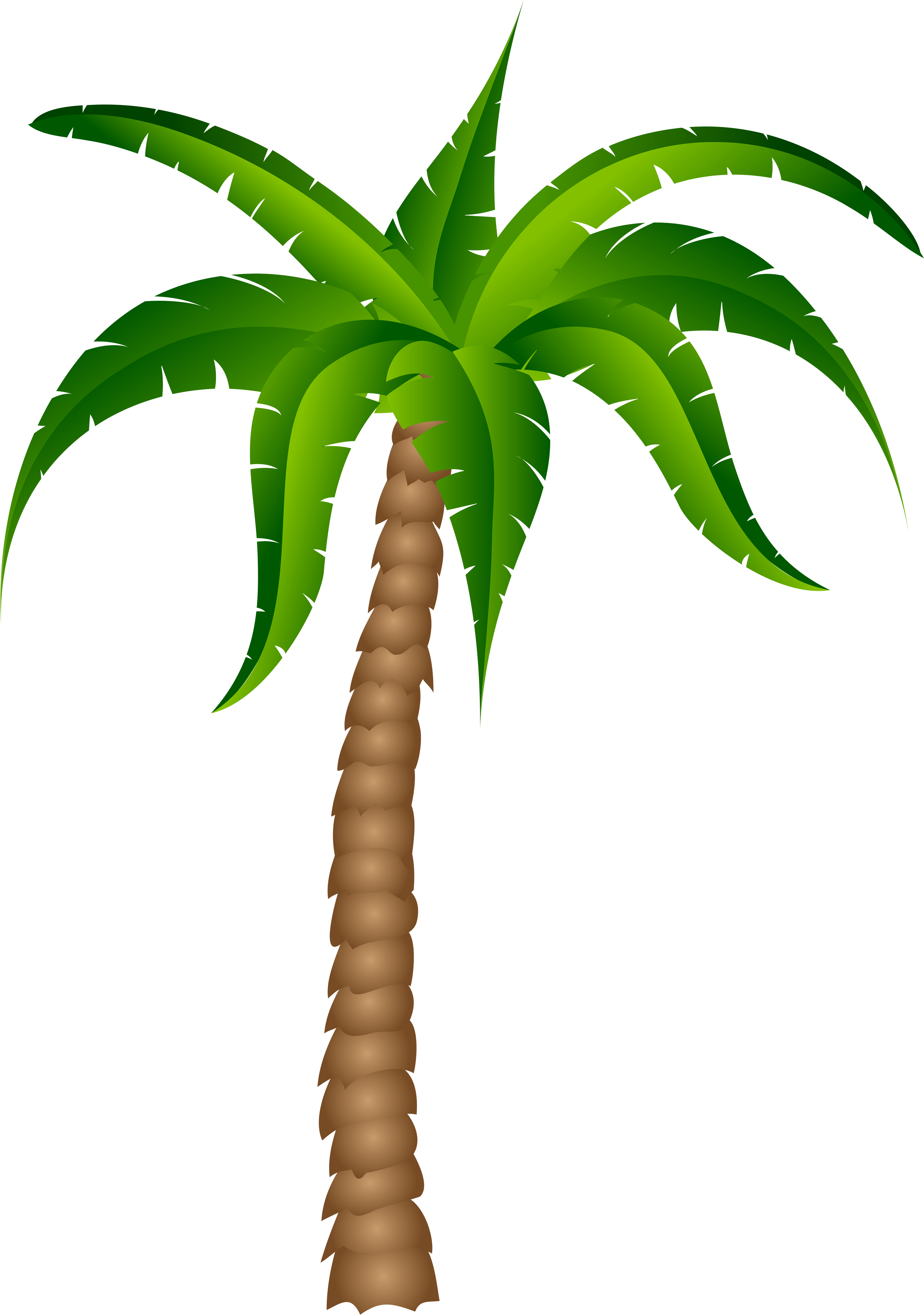 Palm Tree Transparent Background Clipart.