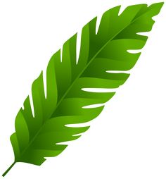 Palm Leaf Clipart.