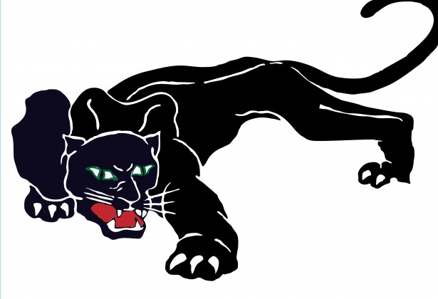 Black Panther Clipart Free Stock Photo.